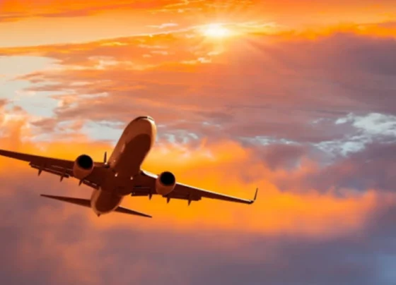 Budget 2024: Only these non-filers can travel abroad