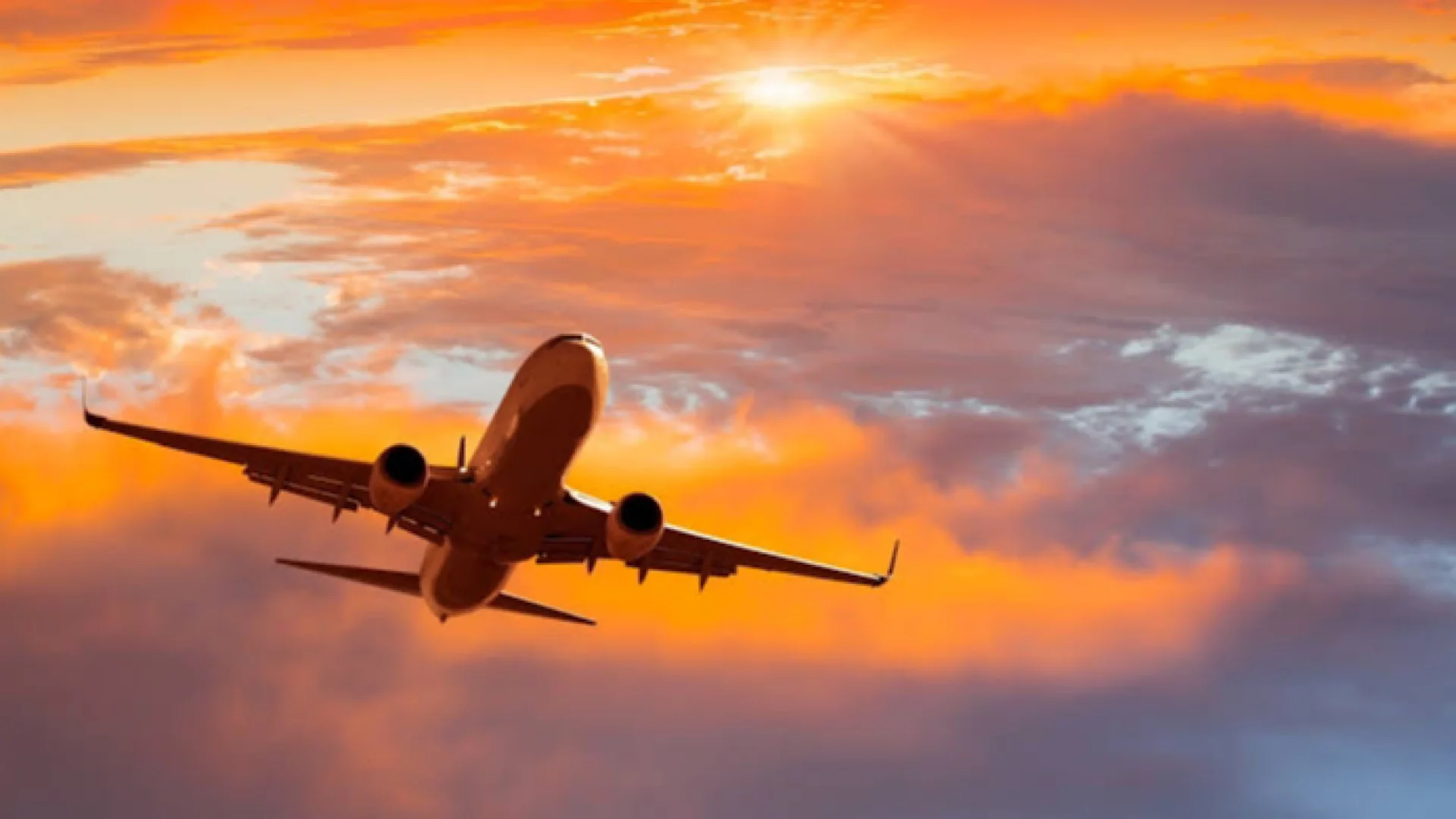 2024 年预算：只有这些非申报者可以出国旅行