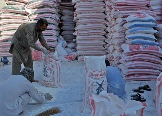 Flour prices surge again following wheat price hike