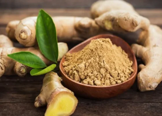 11 Health Benefits of Ginger You Need to Know