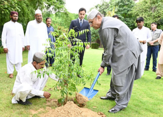 总统提高国家森林覆盖率以减轻气候变化的影响