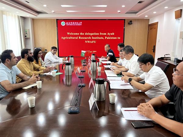 总理主持猴痘局势高级别审查会议