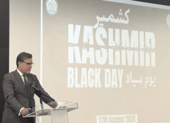 巴基斯坦驻北京大使馆举行克什米尔黑色日纪念活动