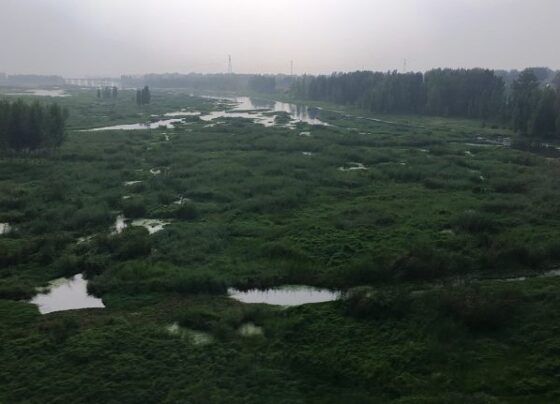 中国寻求加强合作以促进早期天气警报