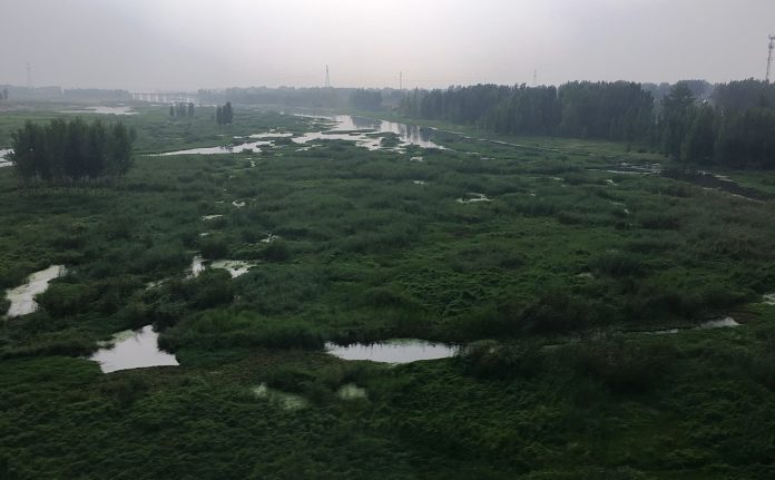 中国寻求加强合作以促进早期天气警报