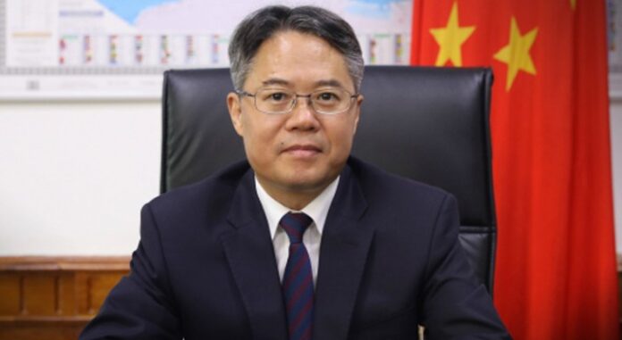 中国特使呼吁中巴加强合作,促进地区和平