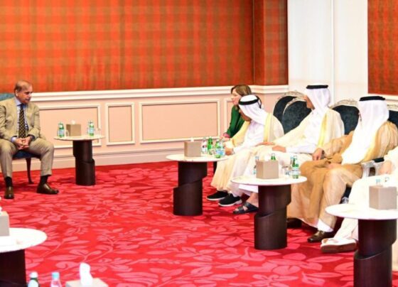 PM Shehbaz invites Qatari businessmen to invest in Pakistan’s energy, infrastructure