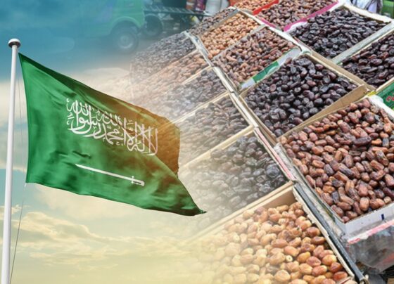 沙特阿拉伯向巴基斯坦赠送100吨枣子