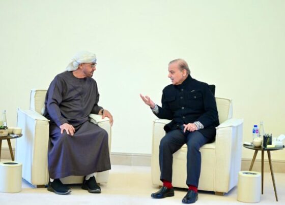 阿联酋总统和总理讨论加强关系的方法