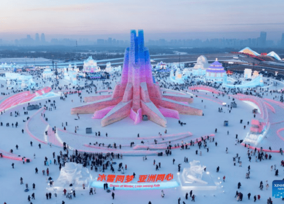 China Harbin International Ice & Snow Festival kicks off