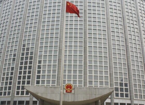 中国专家强调中巴双边贸易潜力