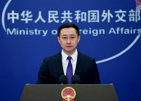 林剑: 中方欢迎印巴达成停火协议