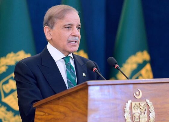 总理强烈谴责查曼爆炸事件