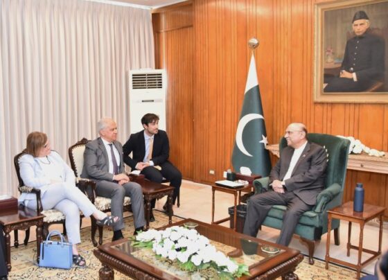 总统:印度极端主义政权威胁地区和平与稳定