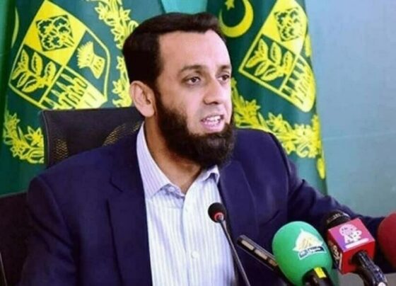 新闻部长: 中国、沙特阿拉伯、阿联酋、土耳其和卡塔尔也为达成停火协议发挥了重要作用