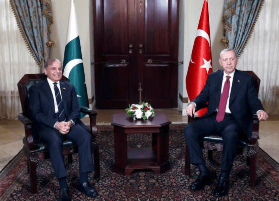 总理与土耳其总统举行会谈