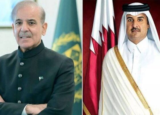 总理与卡塔尔埃米尔讨论南亚局势发展