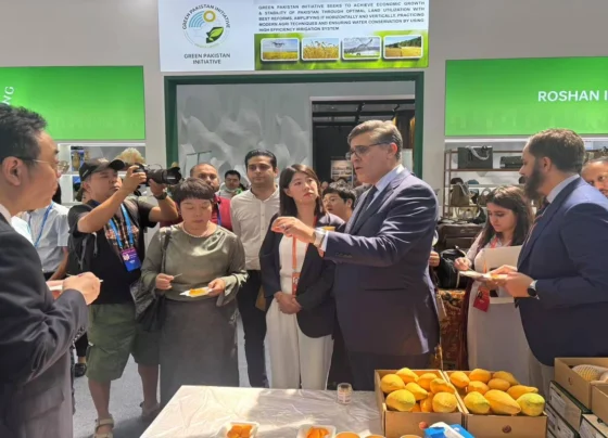 Pakistan Pavilion Inaugurated at China-Eurasia Expo in Urumqi, with Pakistani mangoes in great demandPakistan travel guides