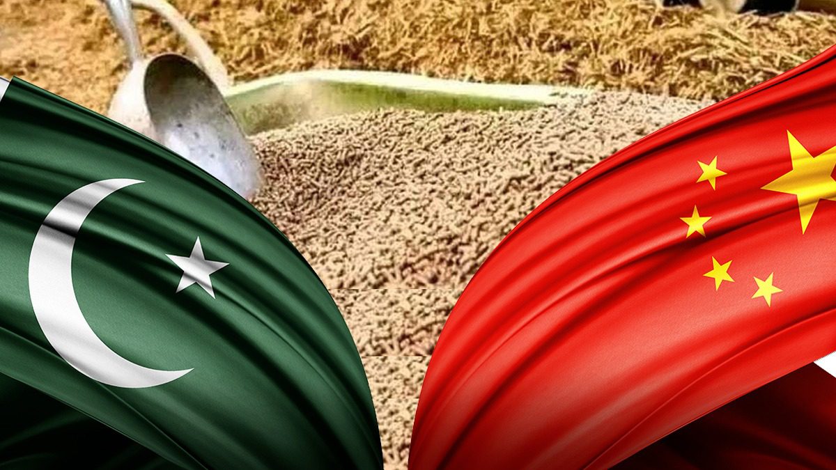 2025年1-5月巴基斯坦对华饲料出口增长16%