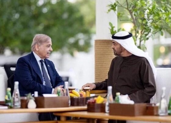 PM Shehbaz departs for daylong UAE official visit