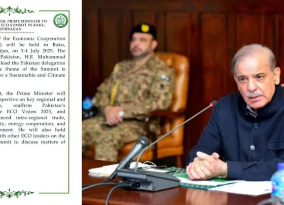 总理将出席在阿塞拜疆举行的经济合作组织峰会