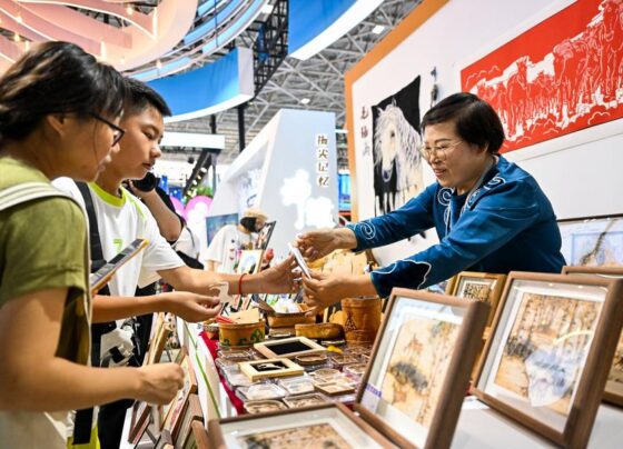 Across China: Traditional ethnic crafts find new life via modern twists