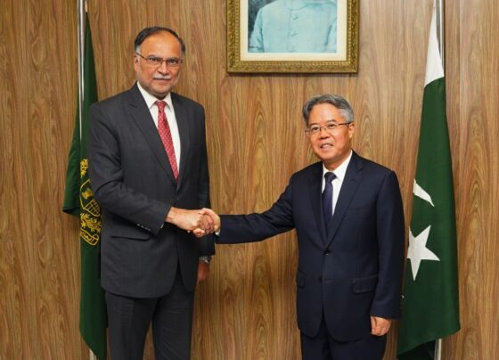 规划部长与中国特使讨论战略合作