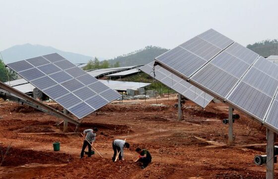 Chinese county harnessing solar energy for ecological restoration, rural development