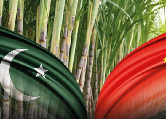 中国与巴基斯坦签署谅解备忘录，加强玉米育种合作