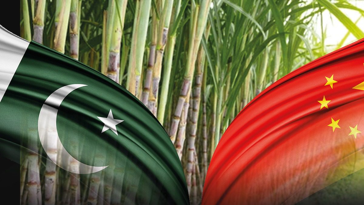 中国与巴基斯坦签署谅解备忘录,加强玉米育种合作