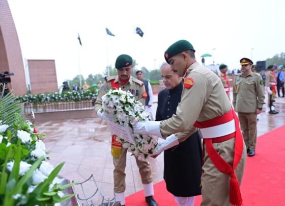 总理夏巴兹升起国旗纪念第78个独立日