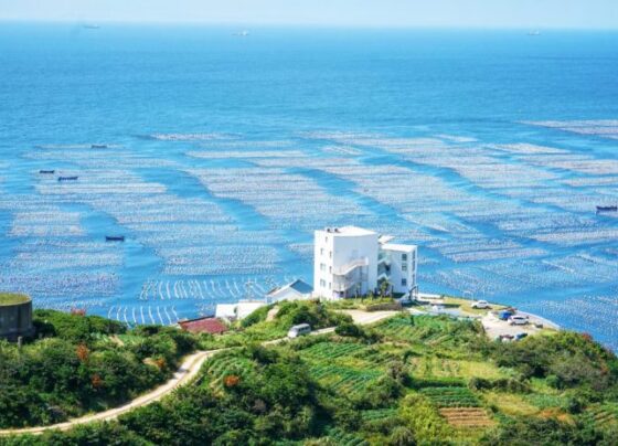 中国发布2025-2030年健康环境规划