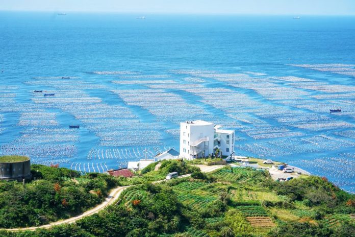 中国发布2025-2030年健康环境规划