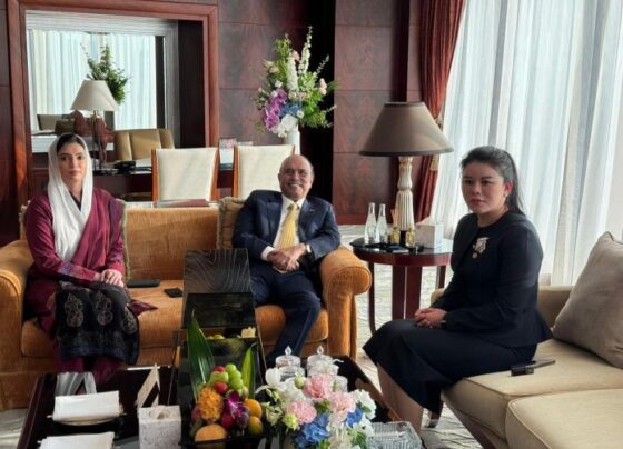 President Zardari meets Vice President of China Africa Chamber of Commerce