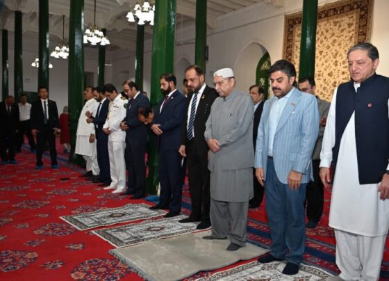 总统扎尔达里访问喀什Etigar 清真寺