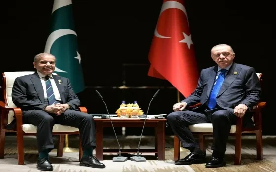 总理夏巴兹在中国会见总统埃尔多安