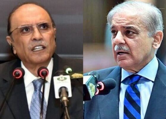 总统和总理赞扬武装部队行动取得成功