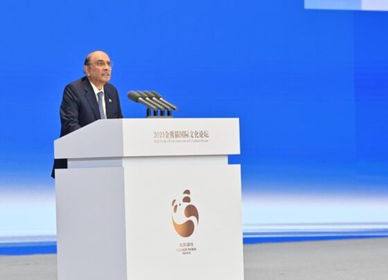 总统强调文化在巴中友谊中的作用