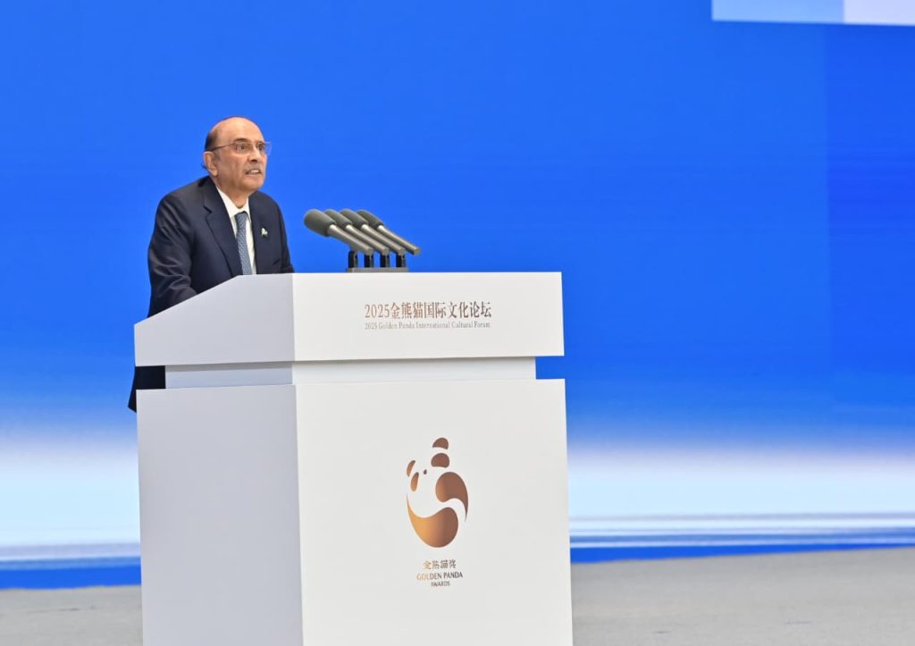 总统强调文化在巴中友谊中的作用