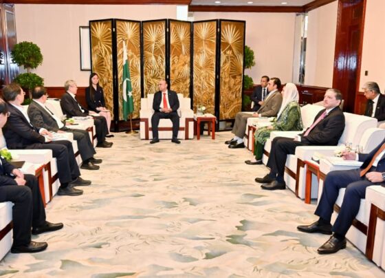 President Zardari for exploring Pak-China joint ventures in electric vehicles, mini trucks