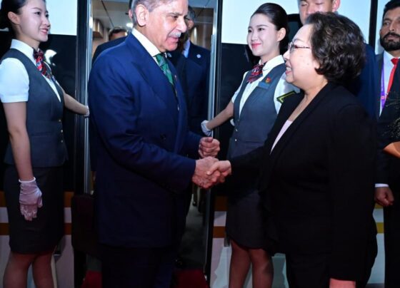 巴基斯坦总理抵达北京