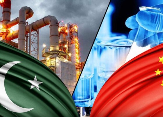 巴基斯坦化工产品在中国市场强劲增长