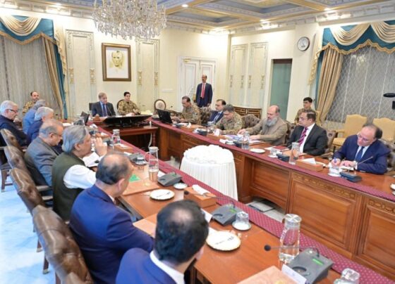 总理回顾整体经济形势，发展项目