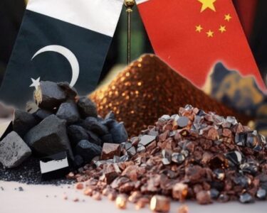 中国矿业公司认为巴中合作有深化空间