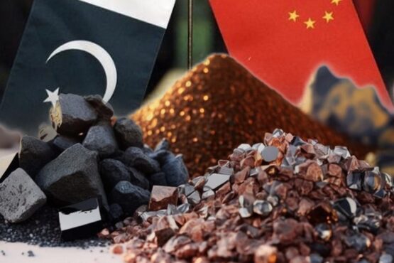 中国矿业公司认为巴中合作有深化空间