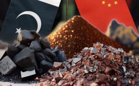 中国矿业公司认为巴中合作有深化空间