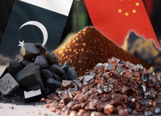 China says reports of Pakistan gifting rare earth samples to U.S. baseless