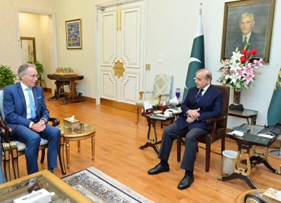 President, Field Marshal discuss internal, external security situation