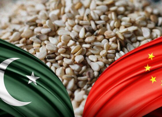 2025年巴基斯坦对华芝麻出口将增加