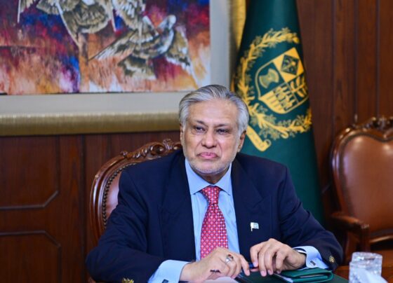 副总理与波兰外交部长讨论双边关系